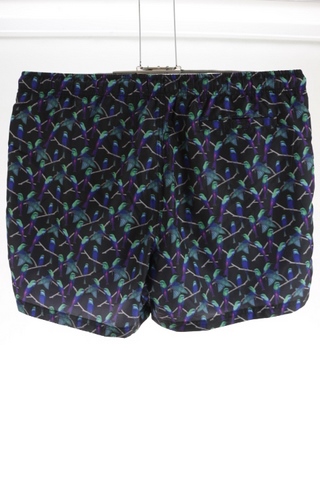 Pánské kraťasy - PRIMARK - XL