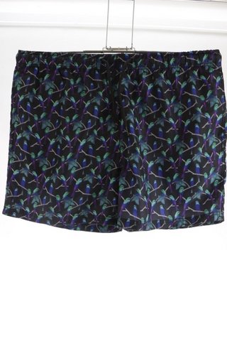 Pánské kraťasy - PRIMARK - XL